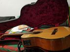 Toyama Semi Acoustic Guitar
