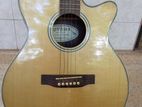 Toyama Semi Acoustic Guitar