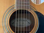 Toyama SemiAcoustic Japan Branded Box Guitar