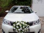 Toyata Axio Car for Rent and Wedding Hire