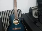 Toyoma Guitar