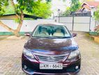 Toyota Allion 260 2010
