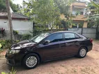 Toyota Allion 260 G Grade 2010