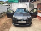 Toyota Aqua Car - For Rent