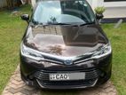 Toyota Axio 2015