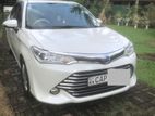 Toyota Axio 2015