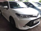 Toyota Axio 2017