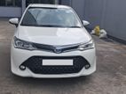 Toyota Axio 2017