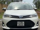 Toyota Axio 2019