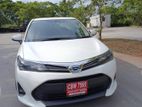 Toyota Axio 2025 for Rent