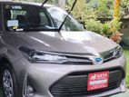 Toyota Axio 2025