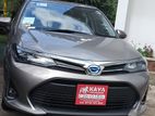 Toyota Axio 2025