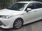 Toyota Axio Car For - Hire