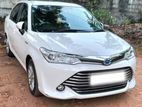 Toyota Axio Car for Rent