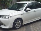 Toyota Axio Car For - Rent