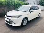 TOYOTA AXIO CAR FOR RENT