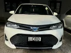 Toyota Axio Car for Rent