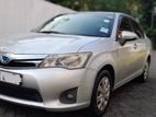 Toyota Axio Car for Rent