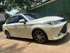 Toyota Axio Car for Rent