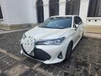 Toyota Axio Car for Wedding Hire and Rent