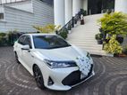 Toyota Axio Car for Wedding Hire