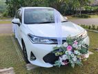 Toyota Axio Car for Wedding Hire / Rent