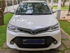 Toyota Axio Corolla WXB 2017
