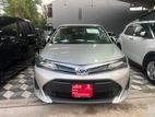 Toyota Axio Ex 2023