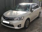 Toyota AXIO for hire