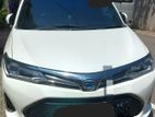 Toyota Axio for Long Term Rent