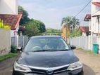 Toyota Axio for Rent