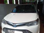 Toyota Axio for Rent