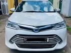 Toyota Axio For Rent