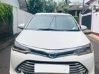 Toyota Axio For Rent