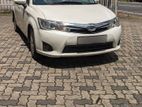 Toyota Axio - for Rent