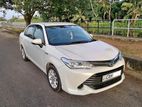 Toyota Axio for Rent