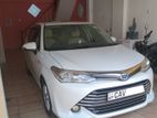 Toyota Axio For Rent