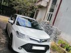 Toyota Axio for Rent