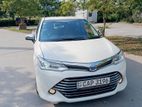 Toyota Axio For Rent