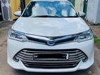 Toyota Axio for Rent