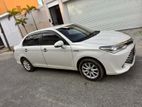 Toyota Axio for Rent