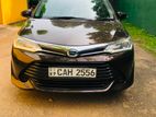 Toyota Axio For Rent