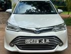 Toyota Axio For Rent