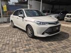 Toyota Axio for Rent