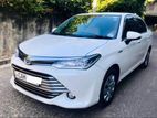 Toyota Axio G 2015