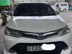 Toyota Axio G 2016