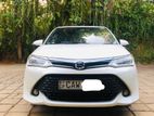Toyota Axio WXB 2017