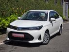 Toyota Axio G 2023