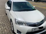 Toyota Axio G Grade 2013