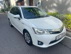 Toyota Axio G Grade 2013